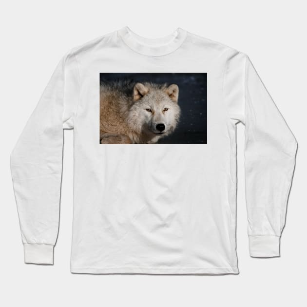 Arctic wolf Long Sleeve T-Shirt by jaydee1400